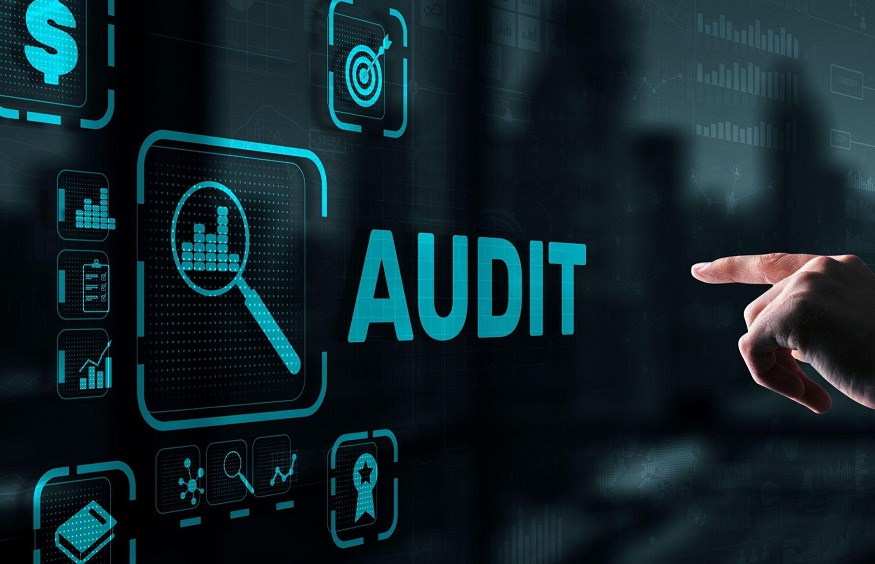 Professional Auditing in Companies